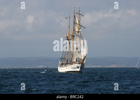 Dewa Ruci, les courses de grands voiliers, 2010 Kristiansand Banque D'Images