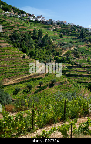 Le Portugal, l'Alto Douro, la vallée du Douro, le coeur de la zone au-dessus du vin de Pinhao Banque D'Images