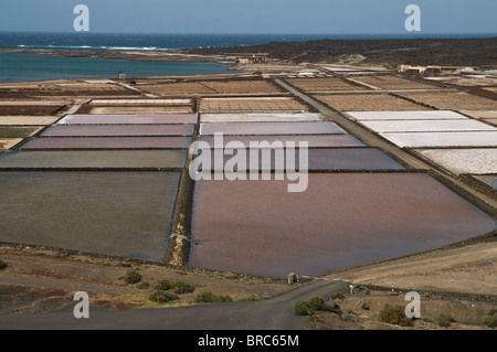 Dh SALINAS DE JANUBIO LANZAROTE Salinisation sel de mer de l'usine d'extraction des champs Banque D'Images