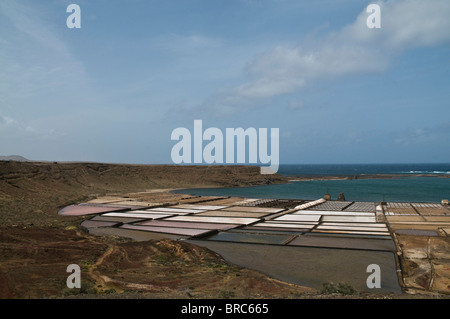 Dh SALINAS DE JANUBIO LANZAROTE Salinisation sel de mer de l'usine minière appartements Champs Banque D'Images