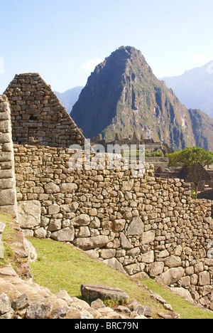 Huayna Picchu montagne surplombant les ruines Inca de Machu Picchu, Pérou, Amérique du Sud Banque D'Images