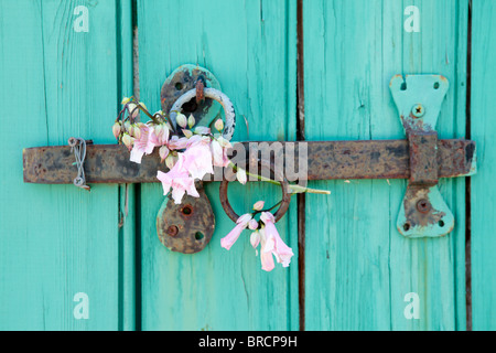 Verrou de fenêtre en fleurs Banque D'Images