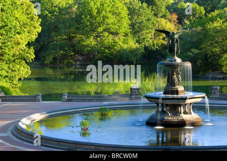 Tôt le matin, à l'Ange des eaux' Fontaine à terrasse Bethesda dans Central Park, Manhattan New York USA Banque D'Images