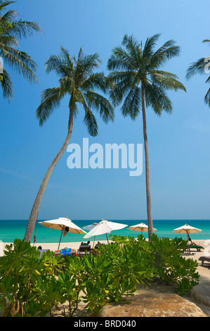 Chaweng Beach, Ko Samui Island, Thaïlande Banque D'Images