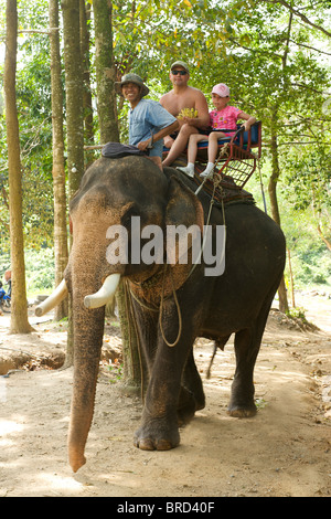 L'équitation d'éléphant, l'Île de Ko Samui, Thaïlande Banque D'Images