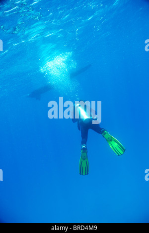 Un plongeur avec bulles s'élevant jusqu'à la surface, vue sous-marine, l'archipel des Galapagos, Equateur,, Banque D'Images