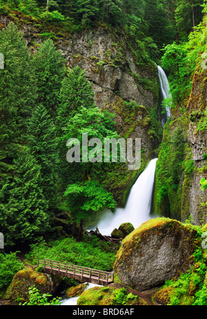 Tanner Creek Falls avec pont. Columbia River Gorge National Scenic Area, New York Banque D'Images