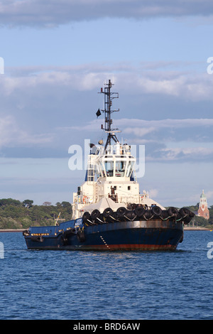 Noir et Crème tug boat Southampton Water Banque D'Images