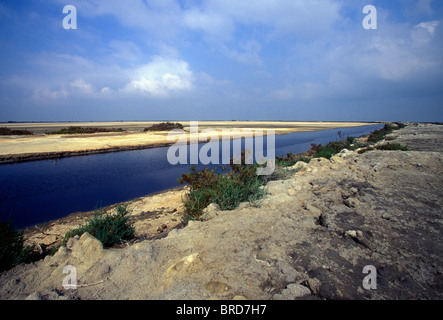 Paysage près d'une digue, la mer, la Camargue, Bouches-du-Rhône, Provence-Alpes-Côte d'Azur, France Banque D'Images