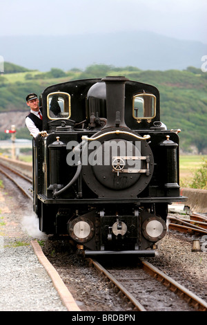 Moteurs à vapeur sur le train rural gallois Ffestiniog Service pays de Galles Royaume-Uni Banque D'Images