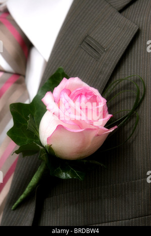 Boutonnière de Mariage Rose pour mariés à un mariage en Ecosse Banque D'Images