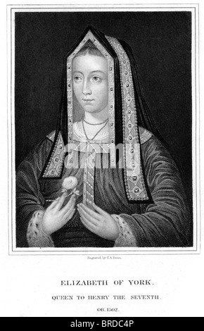 Vintage de 1835 gravure montrant Elizabeth d'York fut Reine consort d'Angleterre en tant qu'épouse du roi Henry VII Banque D'Images