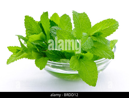 Bouquet de feuilles de menthe fraîche dans un bol en verre clair Banque D'Images