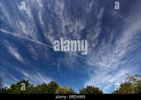 Des nuages Cirrus spissatus haut au-dessus de Somerset avec un appareil à vapeur vapeur contrail Banque D'Images