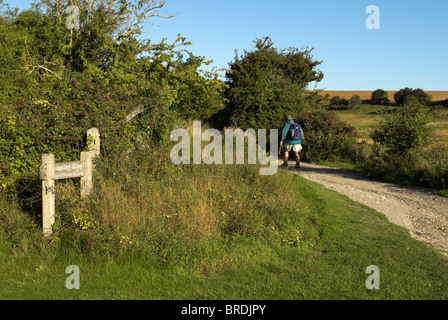 Marcher jusqu'à l'anneau de ponction dans le parc national des South Downs, West Sussex. Banque D'Images