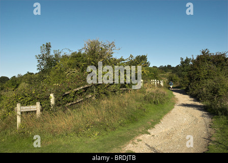 Marcher jusqu'à l'anneau de ponction dans le parc national des South Downs, West Sussex. Banque D'Images