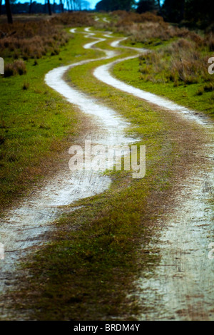 La route sinueuse Banque D'Images