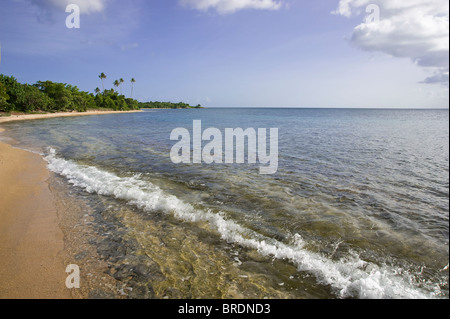 Surf, vagues, mousse sur un plage déserte, Vieques, Puerto Rico Banque D'Images