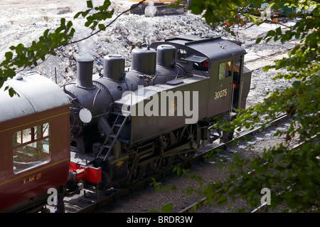 Des trains à vapeur sur le Mid-Hants Railway dans le Hampshire, en Angleterre. prises à l'automne en septembre 2010 Gala Banque D'Images