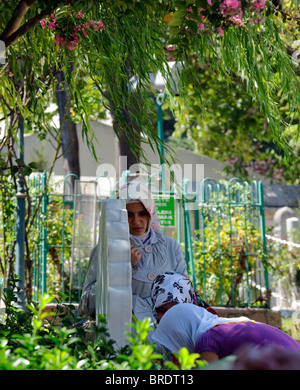 Le turbe de jardin à Istanbul Beyazit Camii Banque D'Images