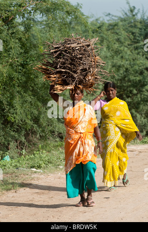 Une femme portant sur la tête de bois de feu, Tamil Nadu, Inde. Banque D'Images