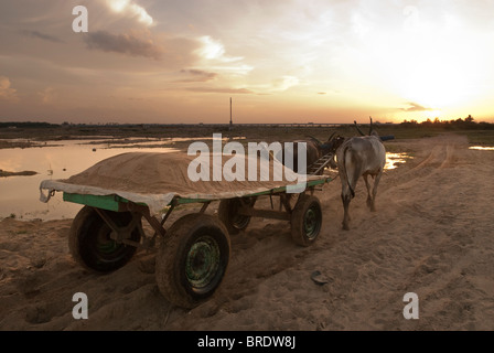Charrette transportant le sable de la rivière à Sevelimedu près de Kanchipuram, Tamil Nadu, Inde. Banque D'Images
