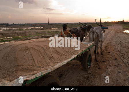 Charrette transportant le sable de la rivière à Sevelimedu près de Kanchipuram, Tamil Nadu, Inde. Banque D'Images
