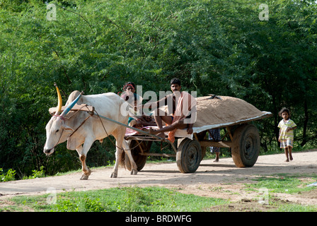Charrette transportant le sable de la rivière à Sevelimedu près de Kanchipuram, Tamil Nadu. Banque D'Images