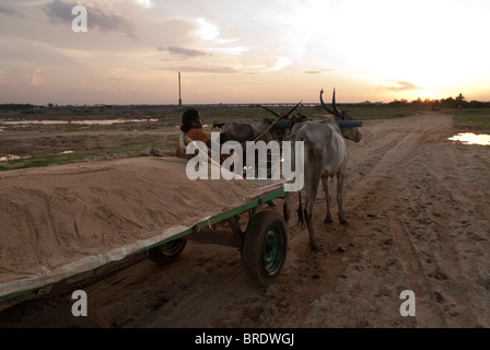 Charrette transportant le sable de la rivière à Sevelimedu près de Kanchipuram, Tamil Nadu, Inde. Banque D'Images