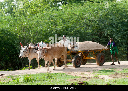 Charrette transportant le sable de la rivière à Sevelimedu près de Kanchipuram, Tamil Nadu. Banque D'Images