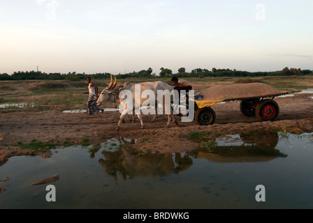 Charrette transportant le sable de la rivière à Sevelimedu près de Kanchipuram, Tamil Nadu, Inde. Banque D'Images