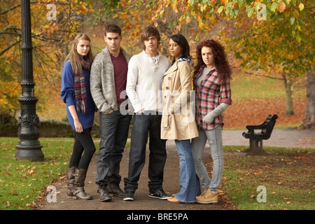 Groupe de cinq amis adolescents ayant In Autumn Park Banque D'Images