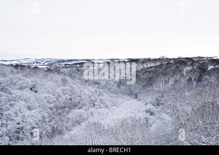 Paysage de neige vue sur une vallée boisée, à au sud-est de l'Hownsgill Viaduc, près de Moorside, comté de Durham, Royaume-Uni. Banque D'Images