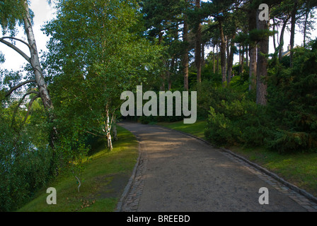 Botanisk ont le Botanical Gardens Park centre de Copenhague Danemark Europe Banque D'Images