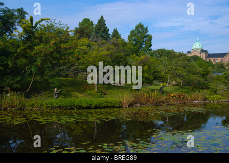 Botanisk ont le Botanical Gardens Park centre de Copenhague Danemark Europe Banque D'Images