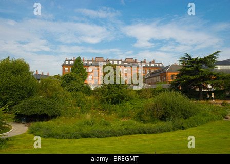 Botanisk ont le Botanical Gardens Park centre de Copenhague Danemark Europe Banque D'Images