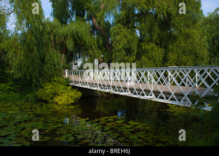 Botanisk ont le Botanical Gardens Park centre de Copenhague Danemark Europe Banque D'Images