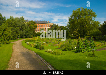 Botanisk ont le Botanical Gardens Park centre de Copenhague Danemark Europe Banque D'Images