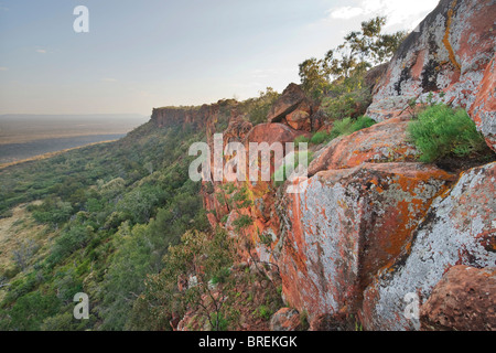 De l'escarpement du plateau de Waterberg, le Parc National de Waterberg, Namibie, Afrique Banque D'Images