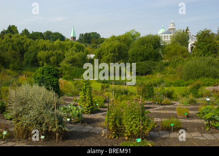 Botanisk ont le Botanical Gardens Park centre de Copenhague Danemark Europe Banque D'Images