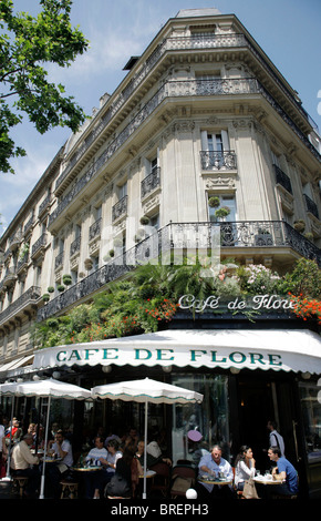 Café de Flore, Saint Germain-des-Prés, Paris, France, Europe Banque D'Images