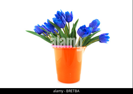 Tulipes orange bleu kitsch en seau plastique Banque D'Images