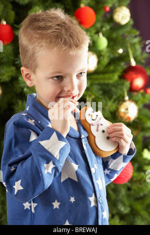 Young Boy Eating Cookie in front of Christmas Tree Banque D'Images