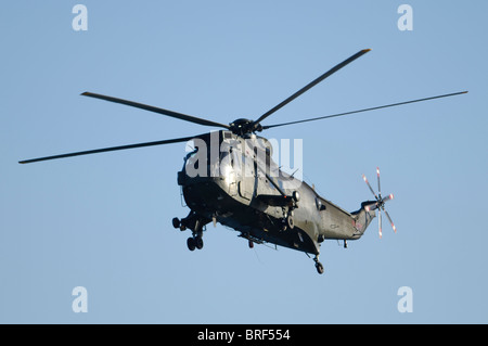 L'hélicoptère Sea King de la Royal Navy en vol Banque D'Images