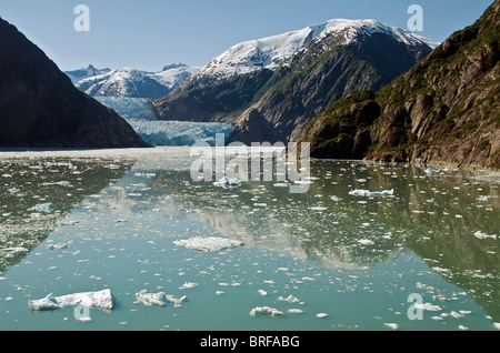 Glacier Sawyer fjord Tracy Arm Le passage de l'intérieur de l'Alaska États-Unis Banque D'Images