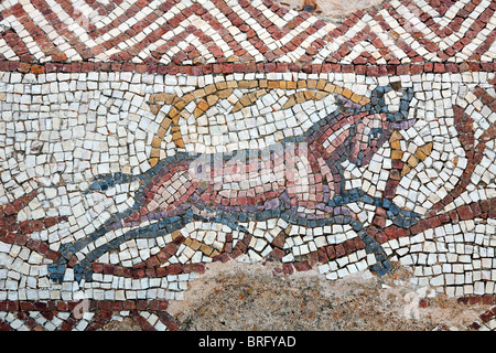 Mosaïque d'une antilope à la Villa de Silin, près de Leptis Magna, Libye Banque D'Images