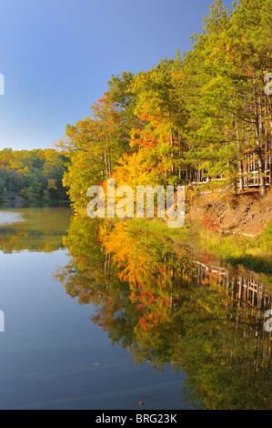 Scène d'automne, parc d'état de Brown County Banque D'Images