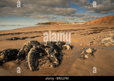 Widemouth Bay, North Cornwall, England, UK Banque D'Images