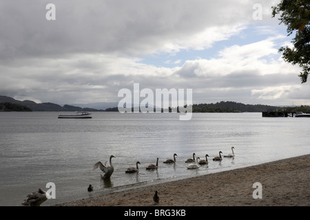 Le Loch Lomond, Ecosse-1 Banque D'Images