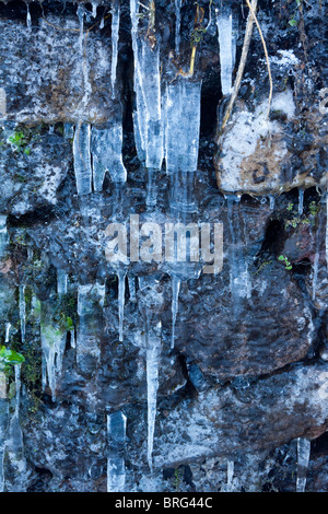 Vue rapprochée de glaçons sur un mur de pierre photographiés dans des conditions hivernales dans le Derbyshire Peak District England UK Banque D'Images